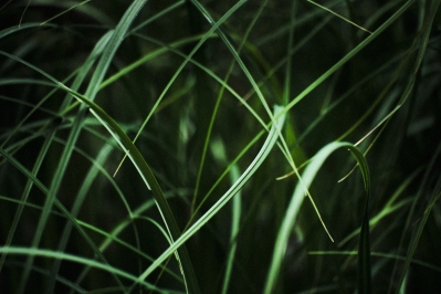 Ein Spaziergang um den Klostersee
